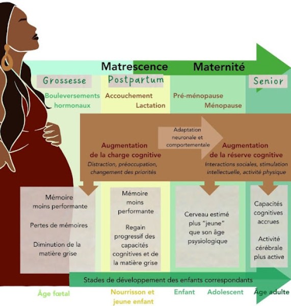 infographie maternité